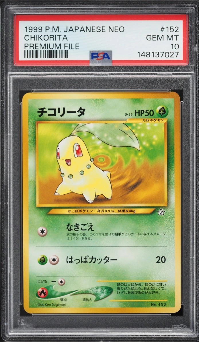 Chikorita