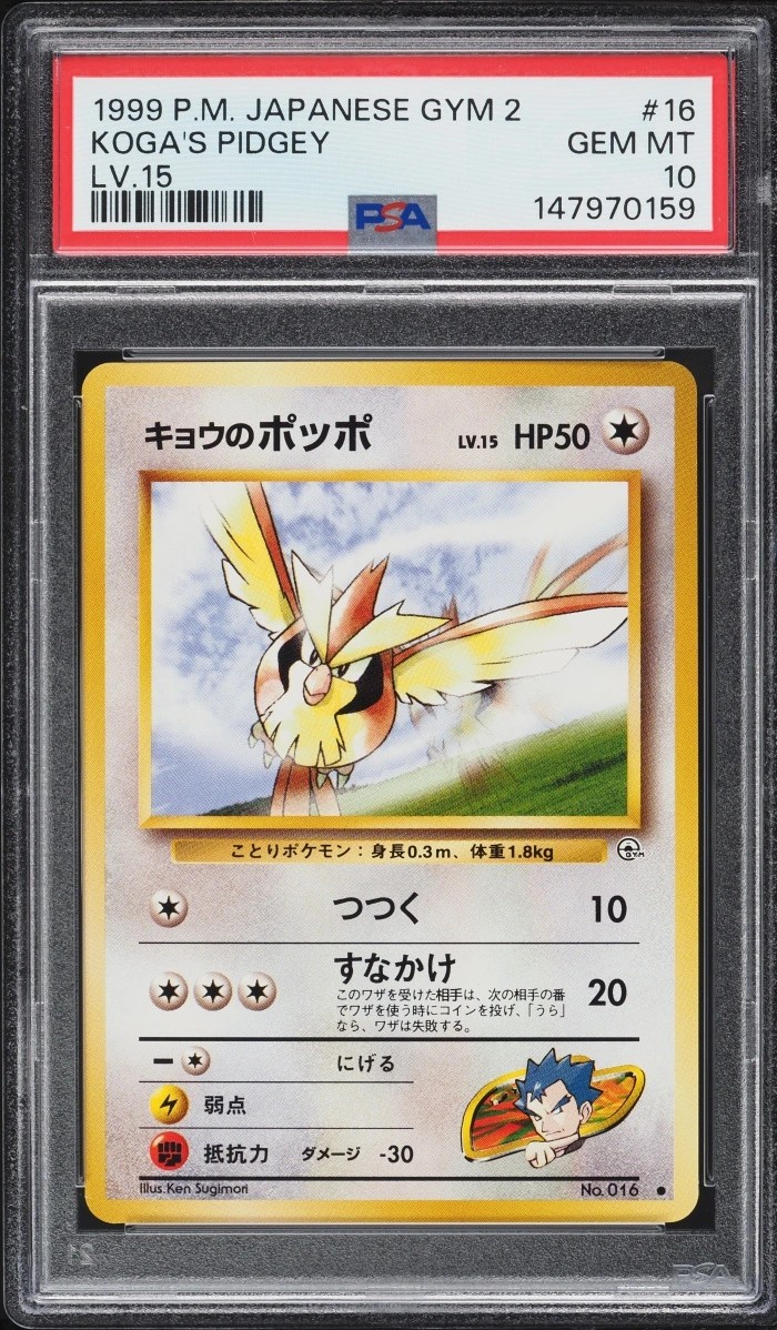 Koga's Pidgey