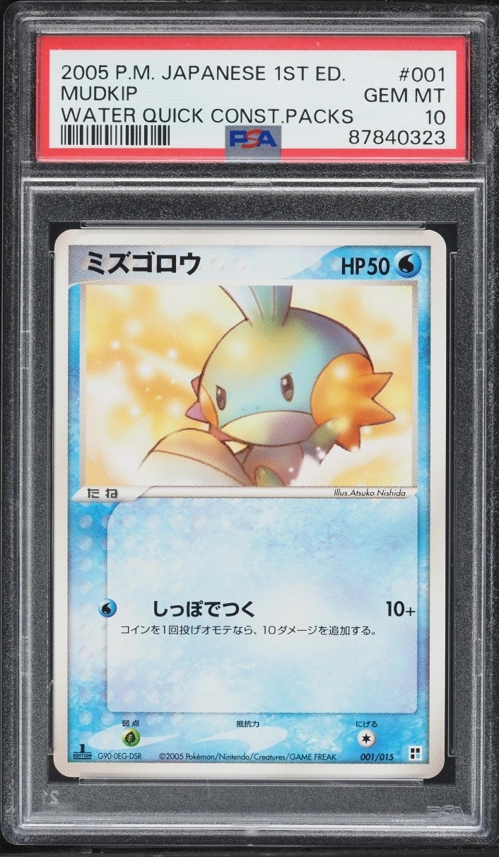 Mudkip