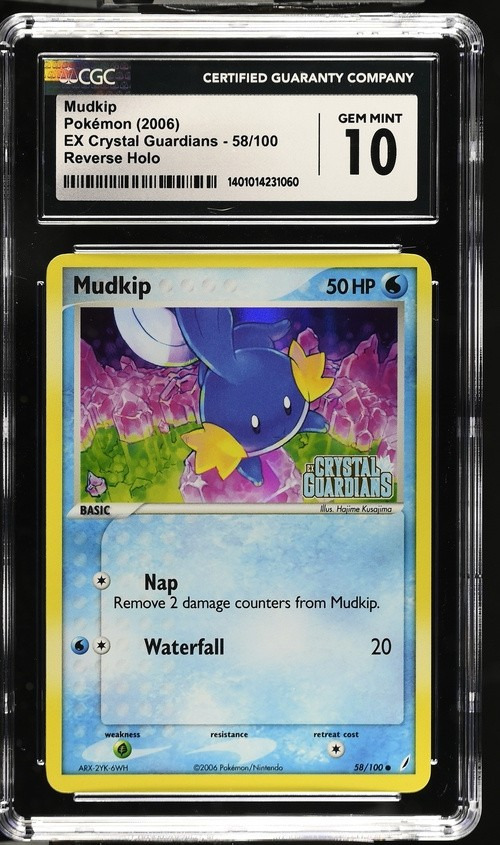 Mudkip
