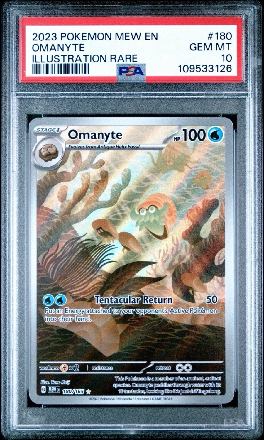 Omanyte