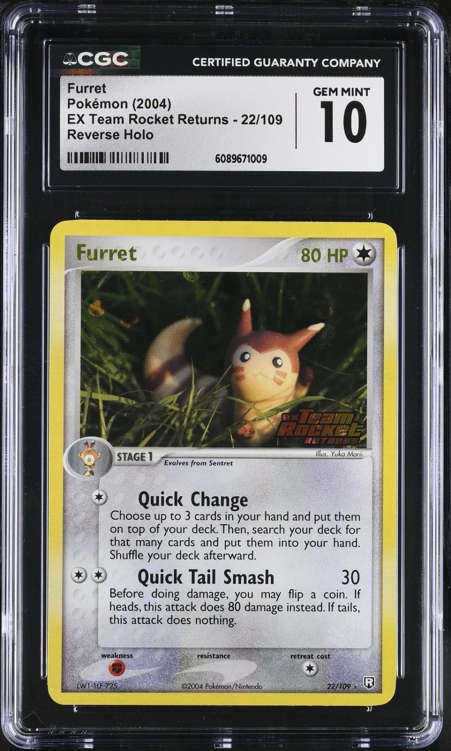 Furret