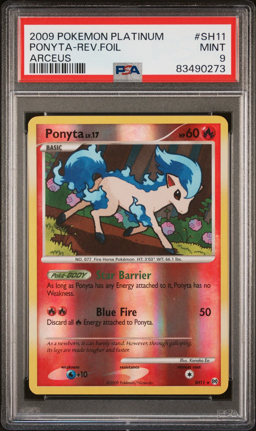 Ponyta