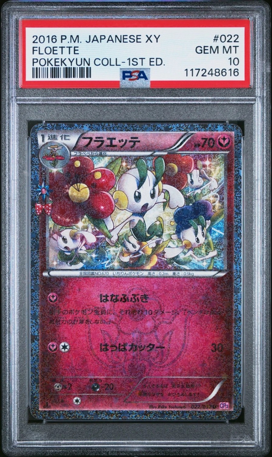 Floette