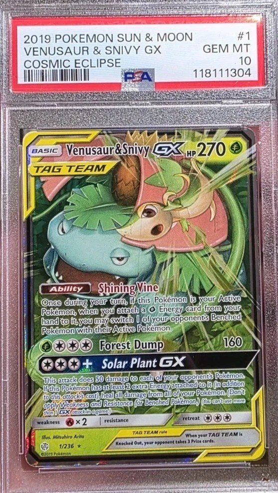 Venusaur & Snivy GX