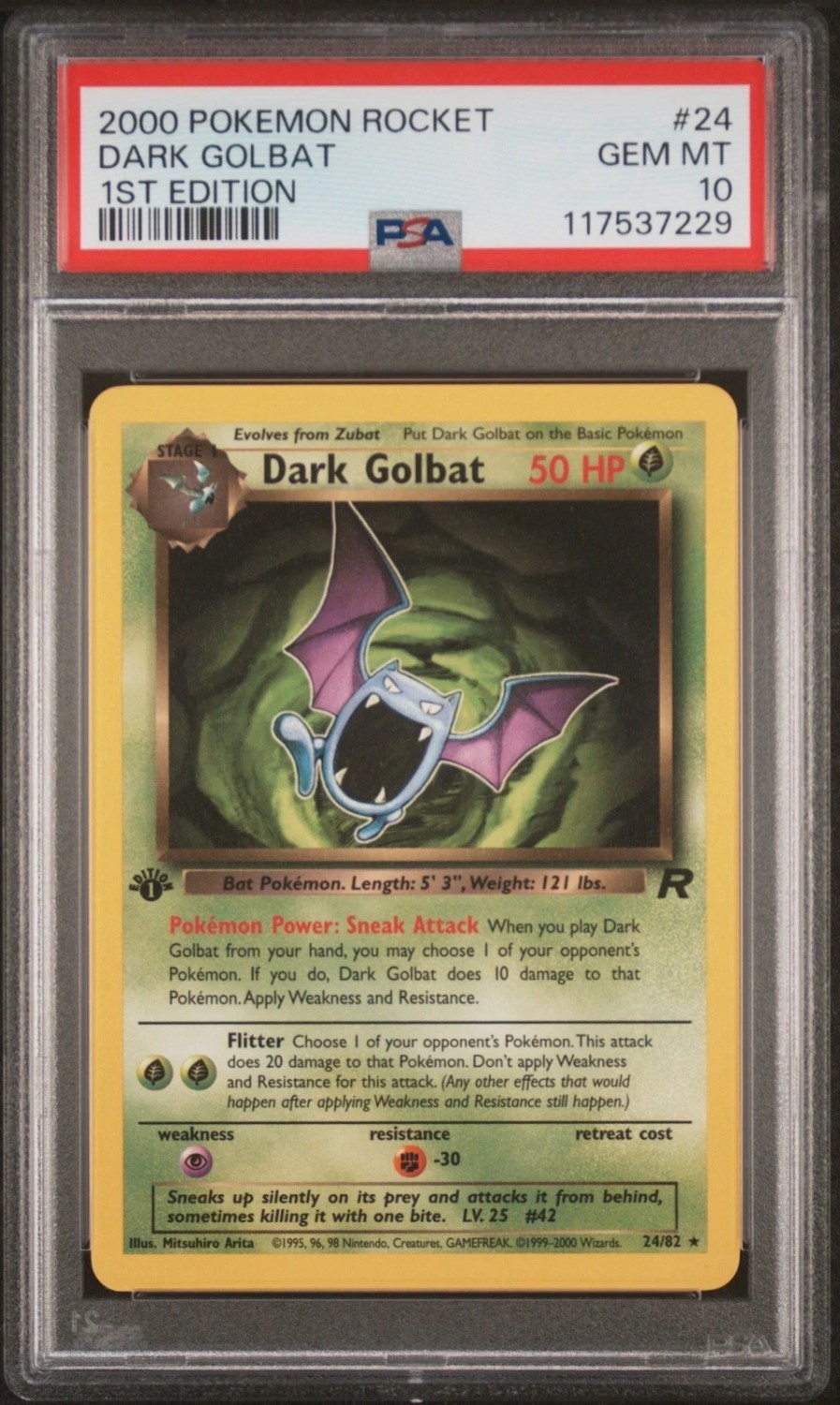 Dark Golbat