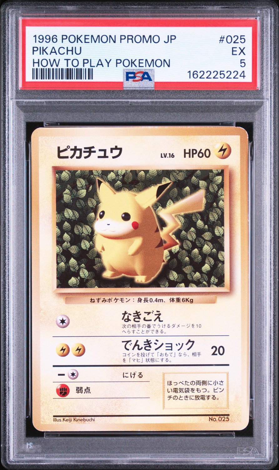 Non-Holo · Non-Glossy · Easily How Play To Understand