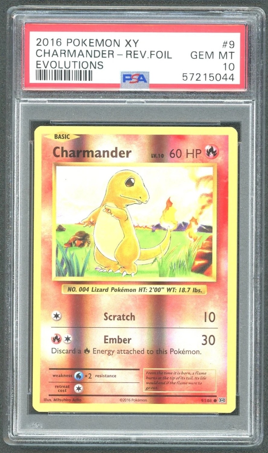 CHARMANDER
