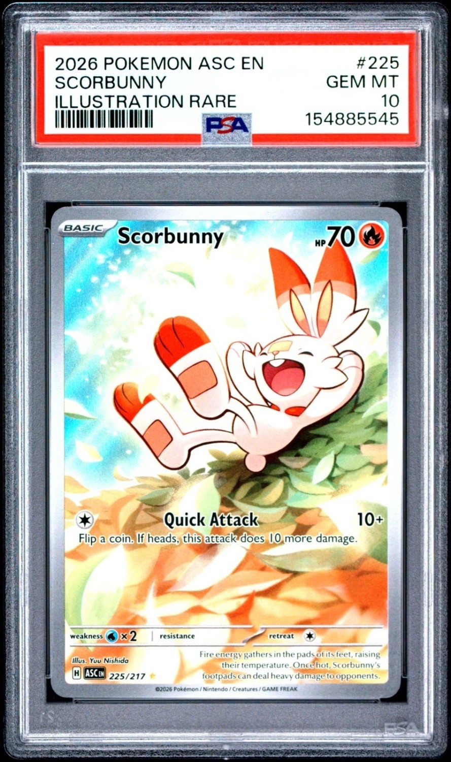Scorbunny