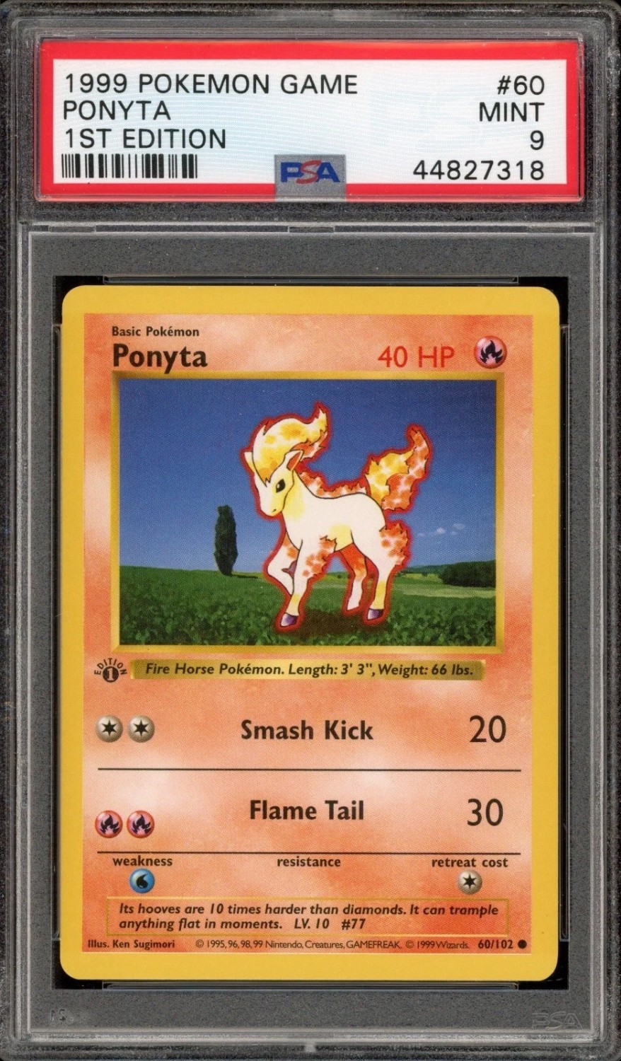 PONYTA