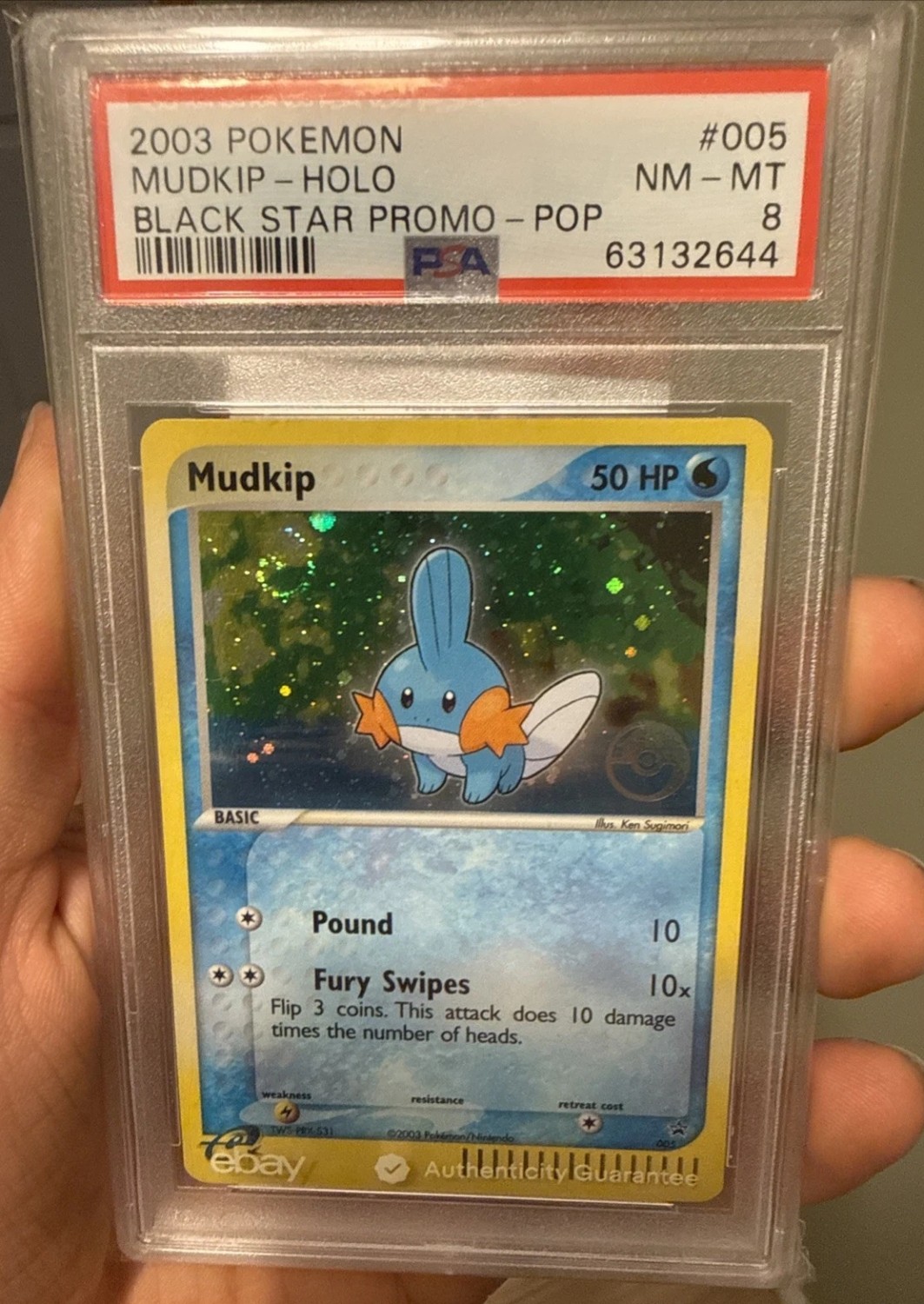 Mudkip