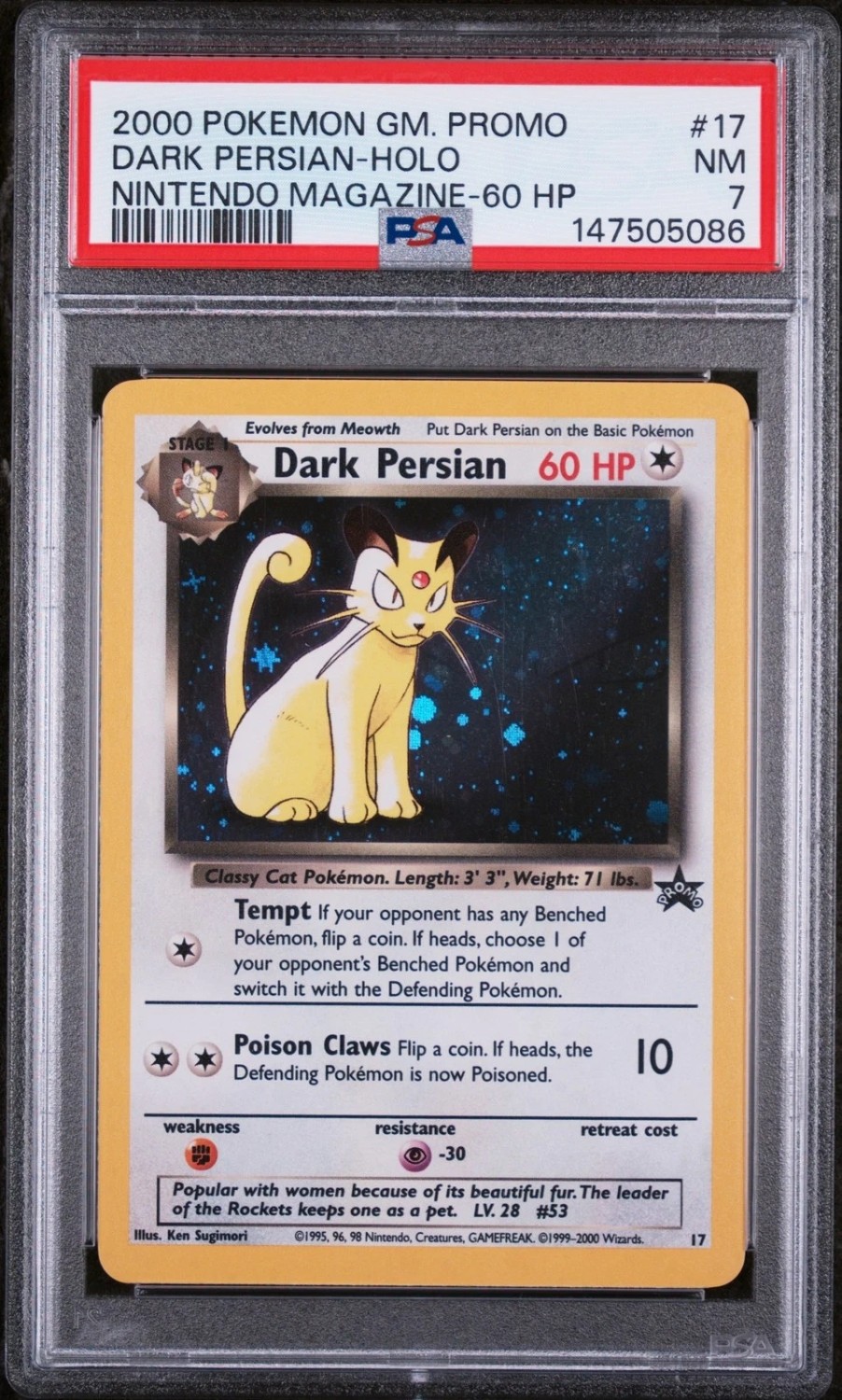 Dark Persian