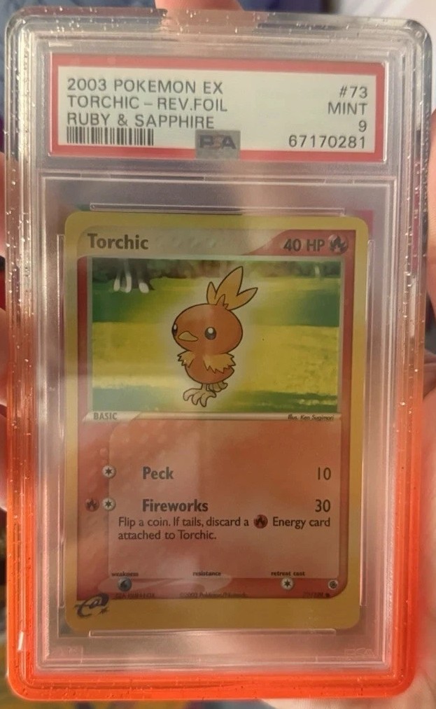 Torchic