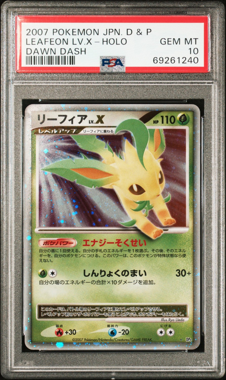 Leafeon Lv X