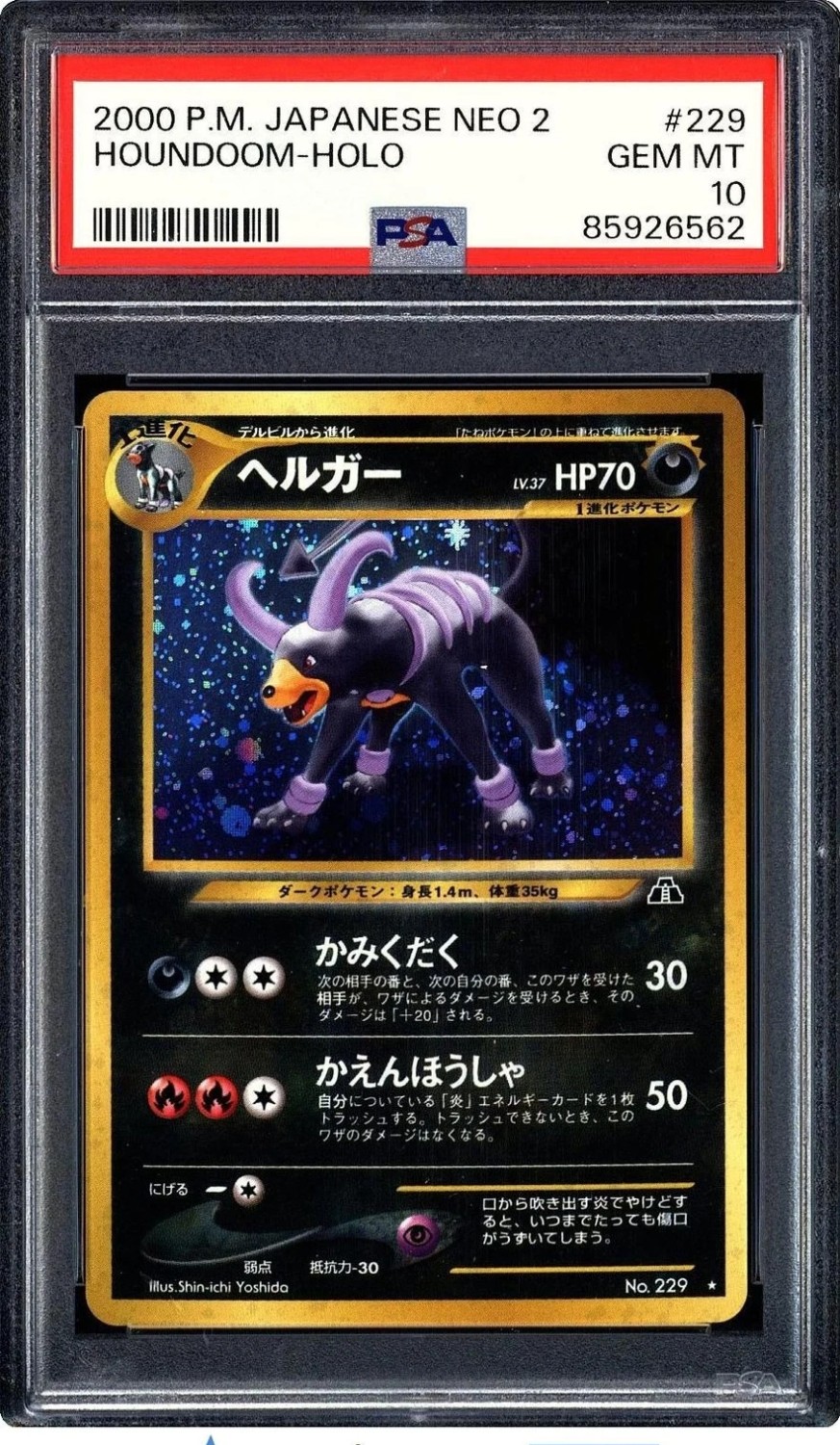 Houndoom