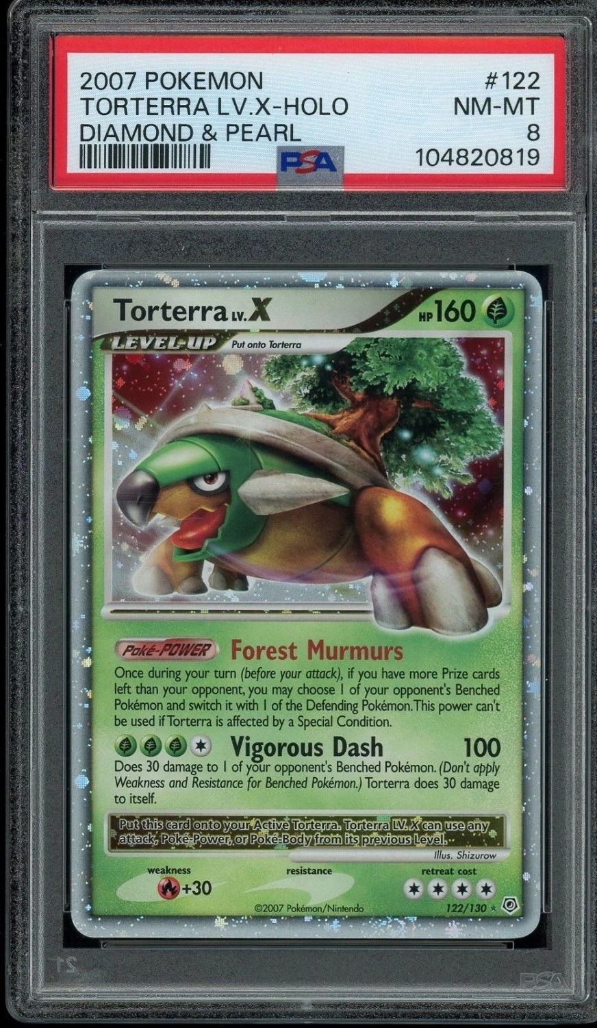 TORTERRA LV.X
