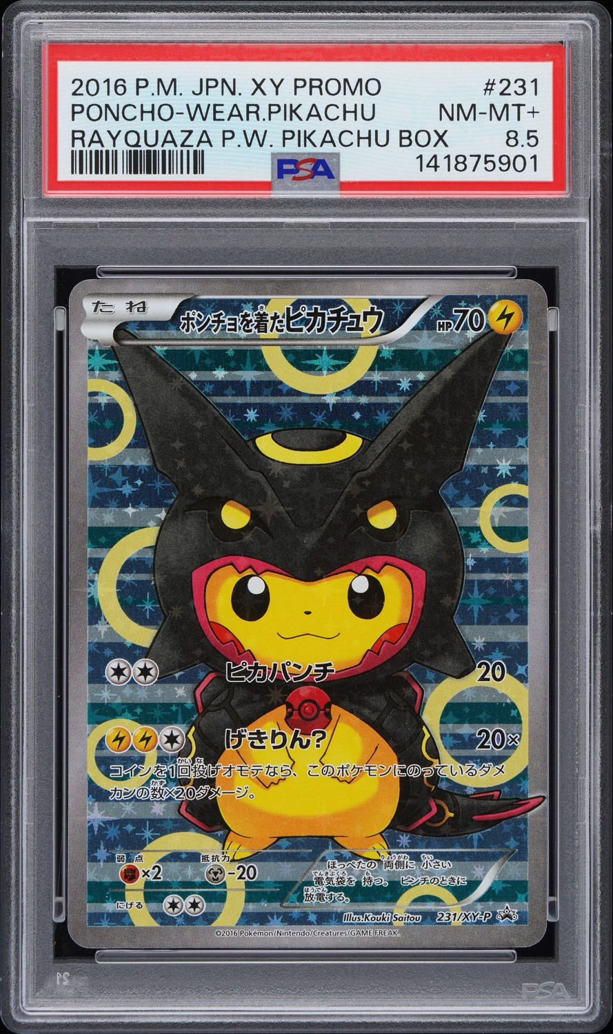 Poncho-Wearing Pikachu