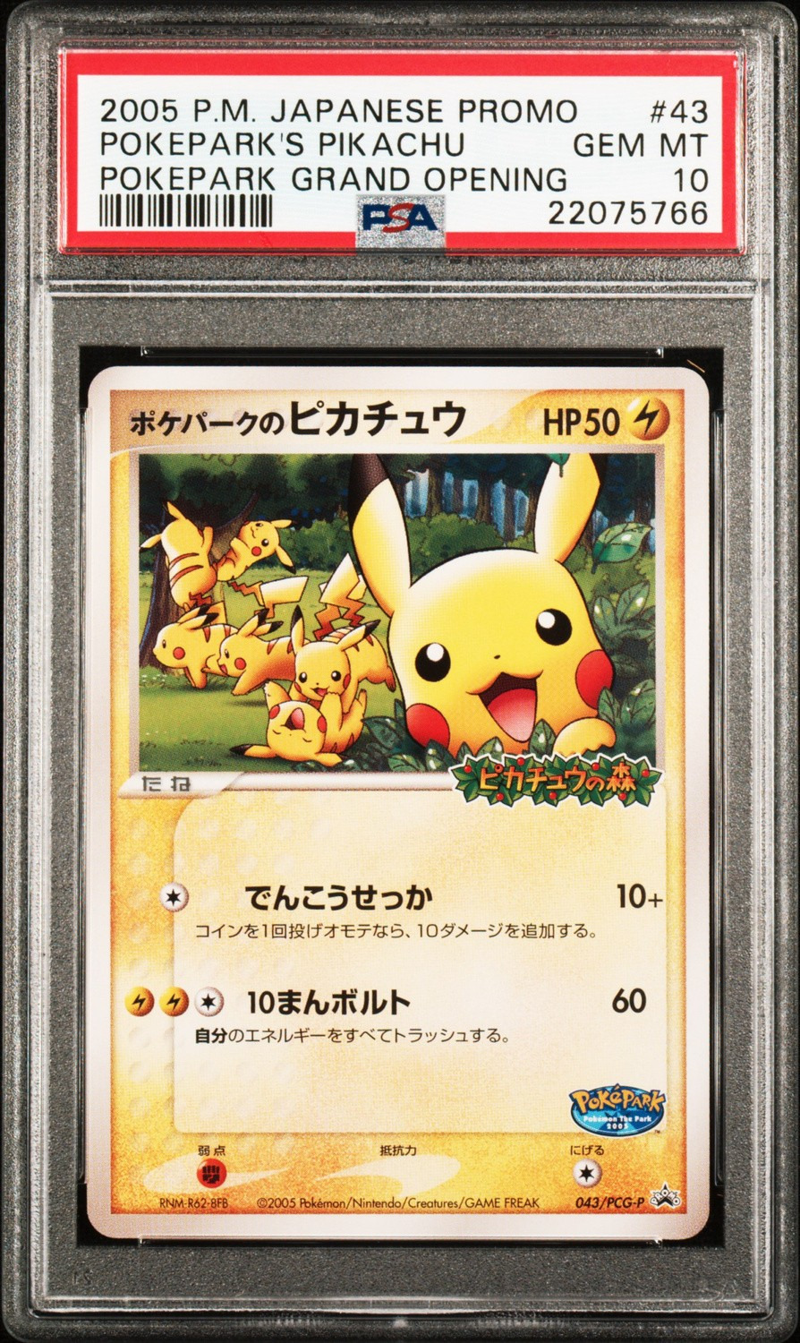 Pokepark's Pikachu