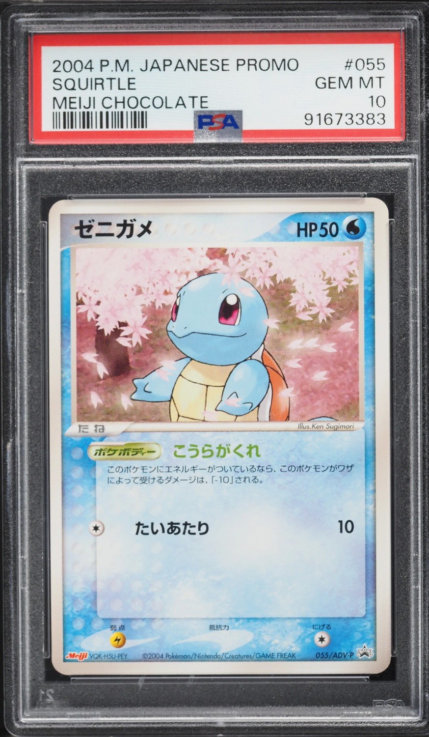 Squirtle