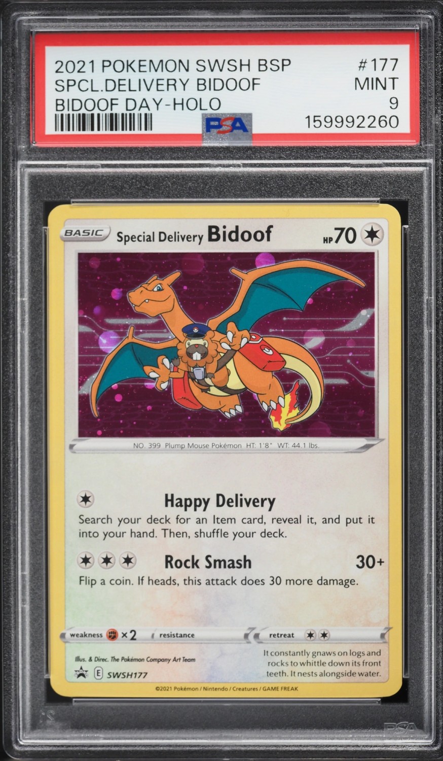 Special Delivery Bidoof