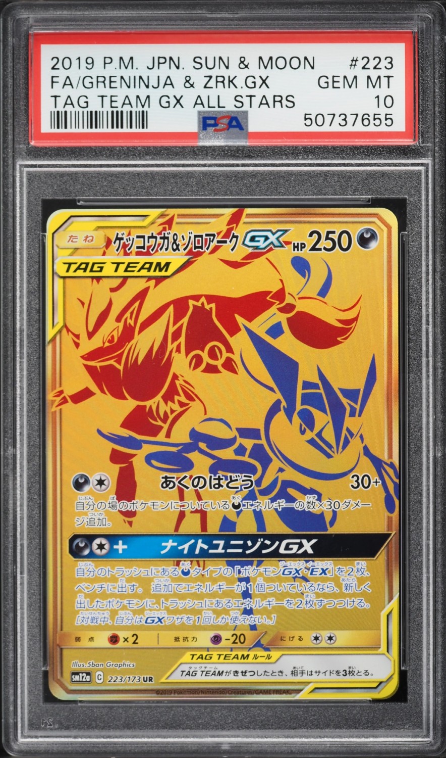 Greninja & Zoroark GX