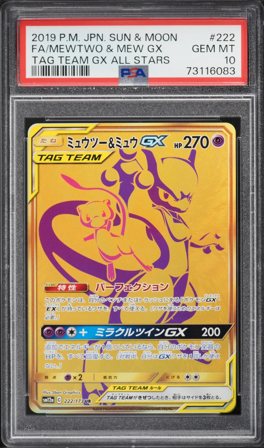 Mewtwo & Mew GX