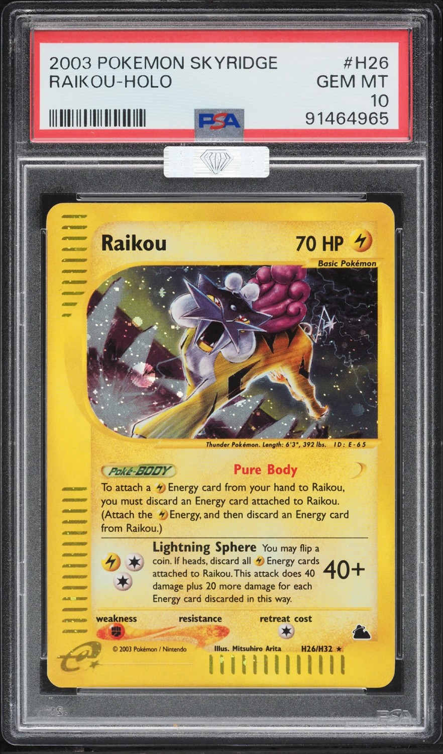 Raikou