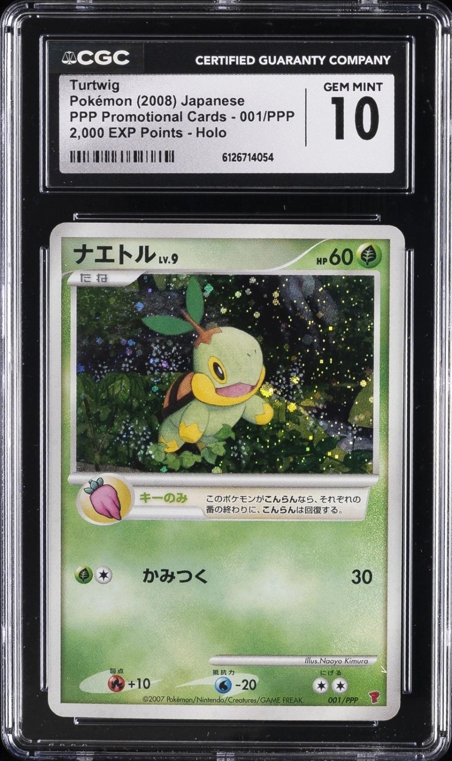 Turtwig