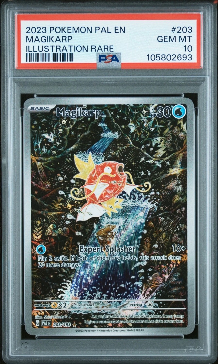 Magikarp