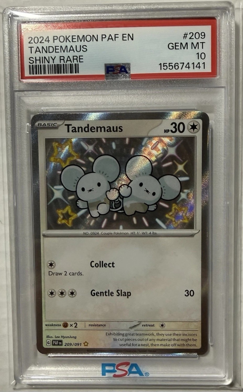 Tandemaus