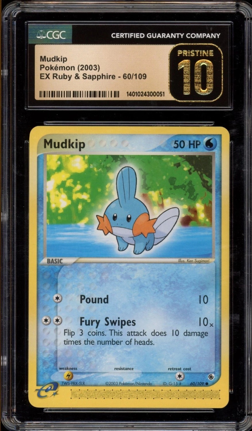 Mudkip