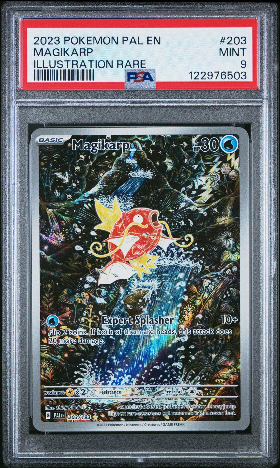 Magikarp