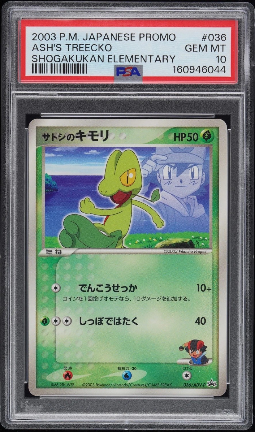Ash's Treecko