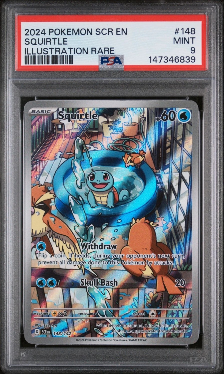 Squirtle