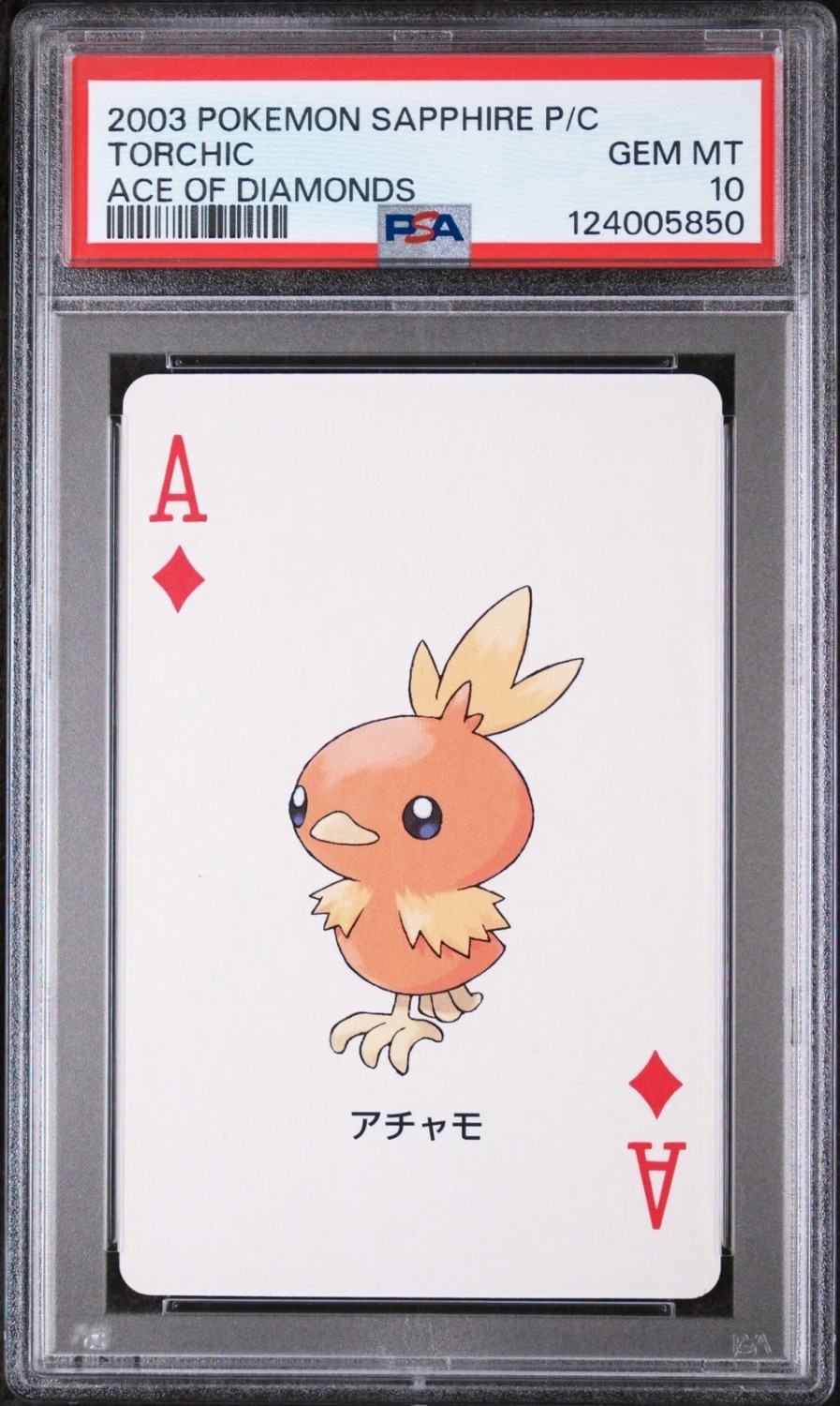 Torchic
