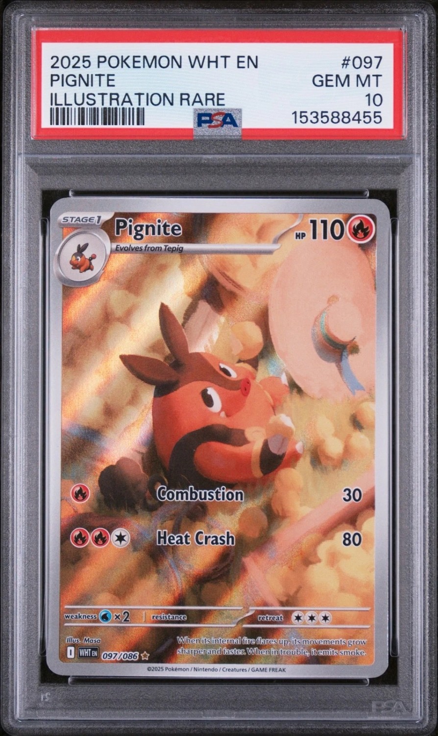 Pignite