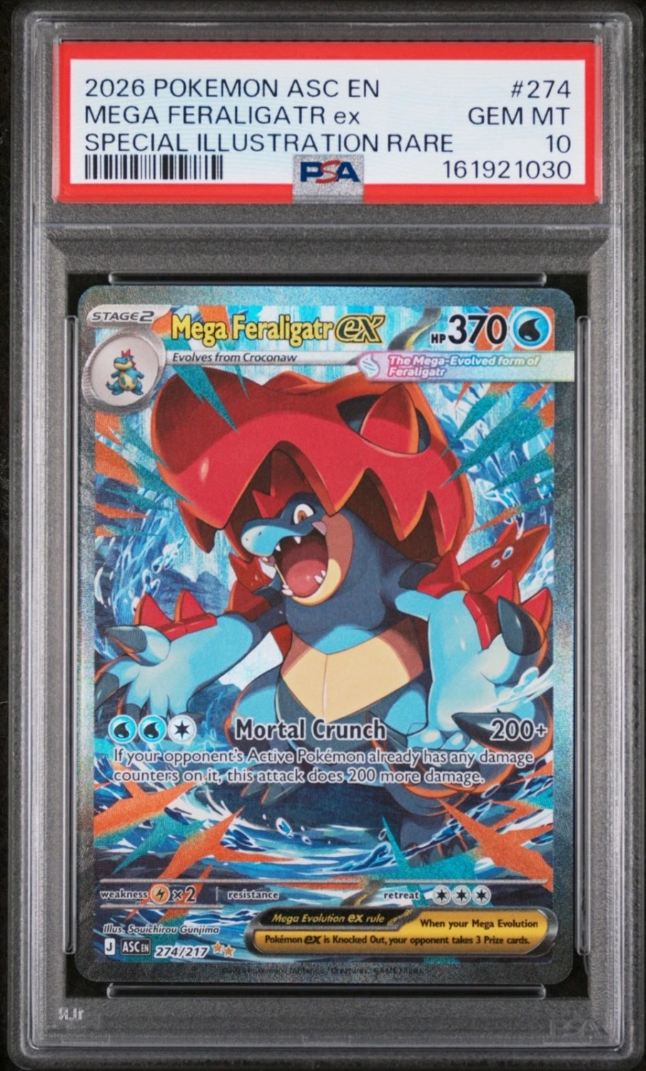 MEGA FERALIGATR ex