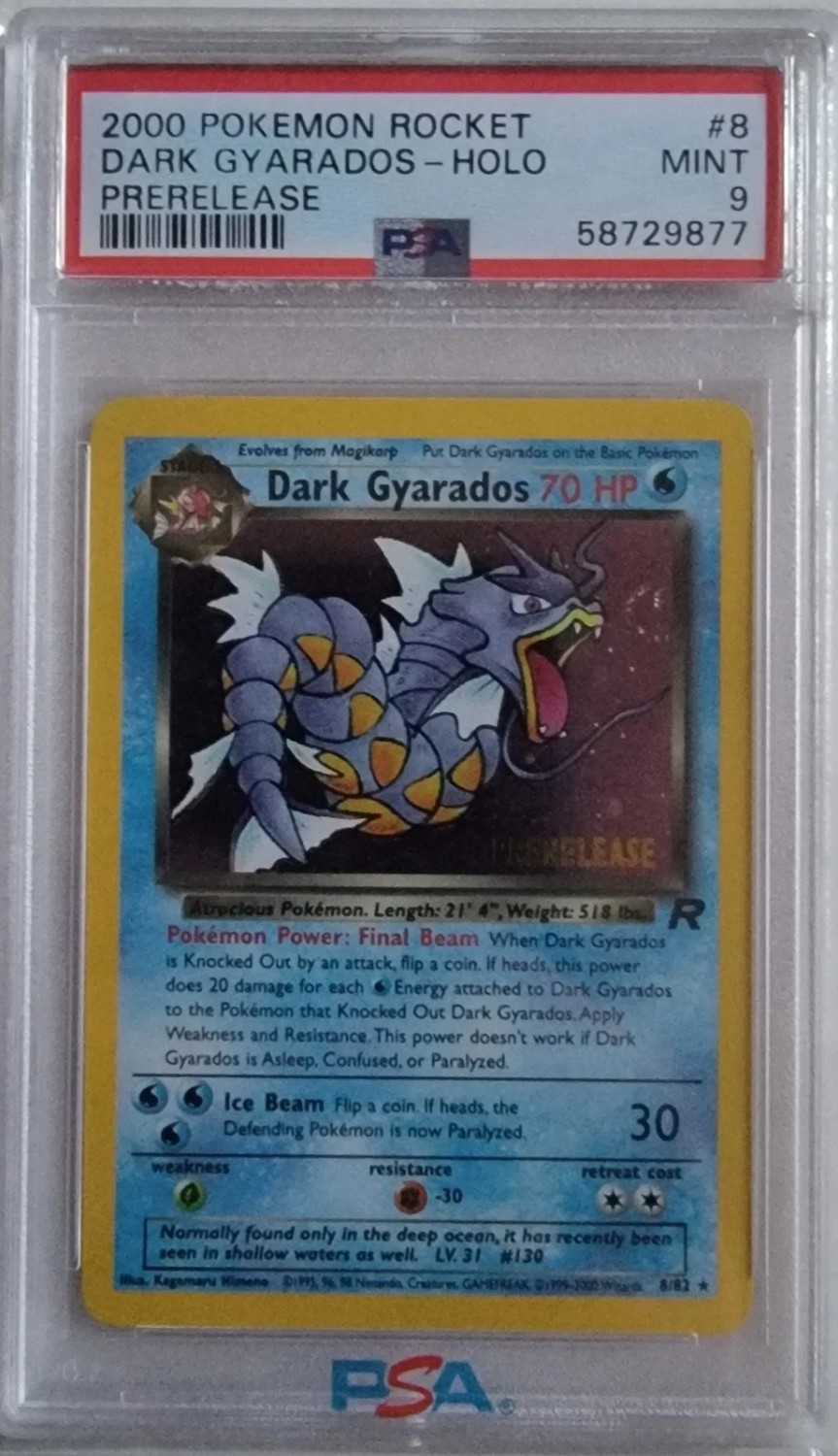 Dark Gyarados