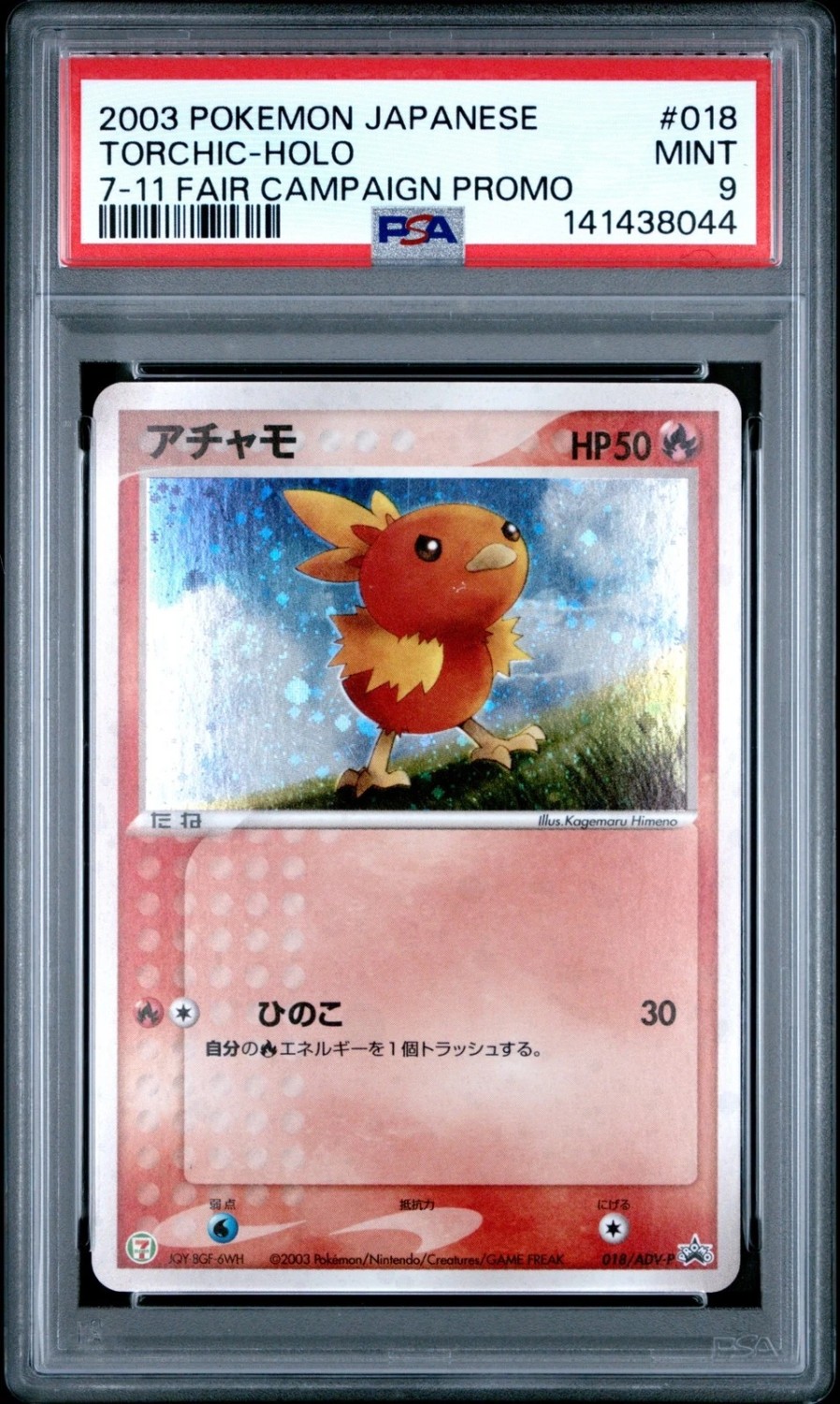 Torchic