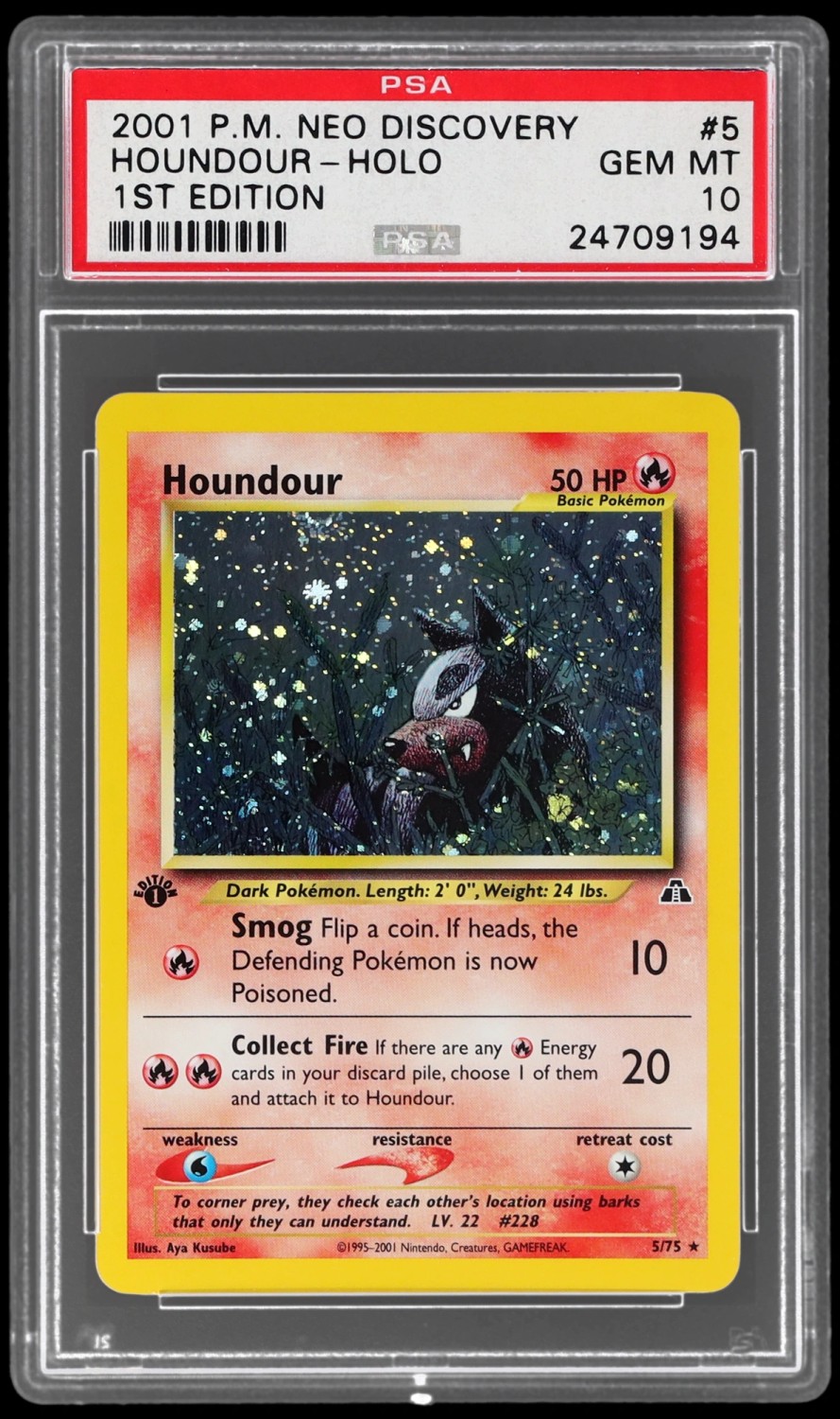 Houndour