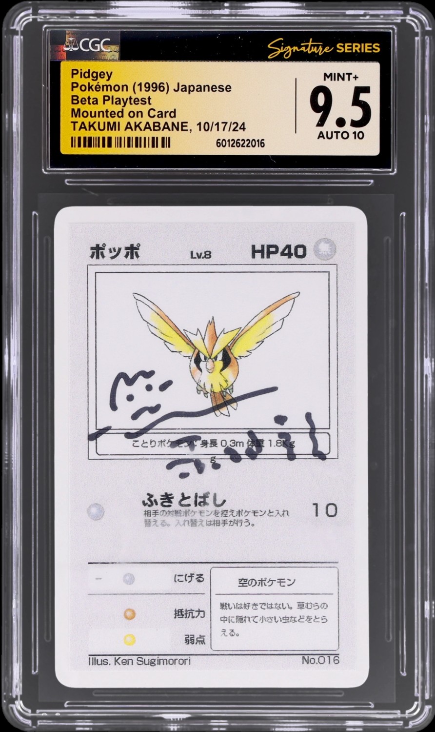 Pidgey
