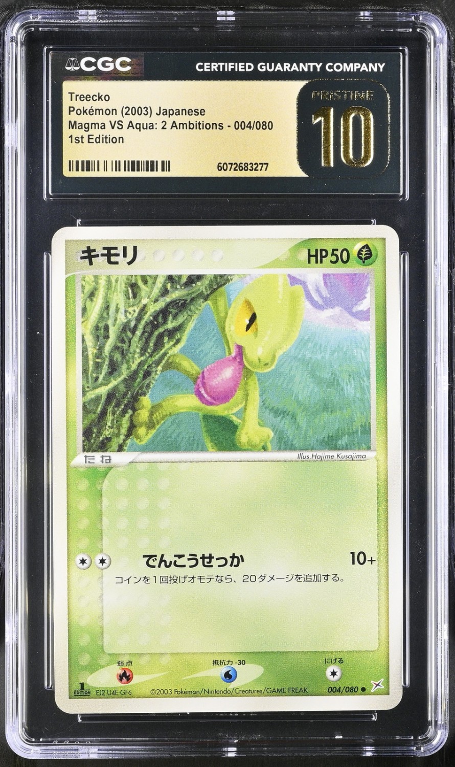 Treecko