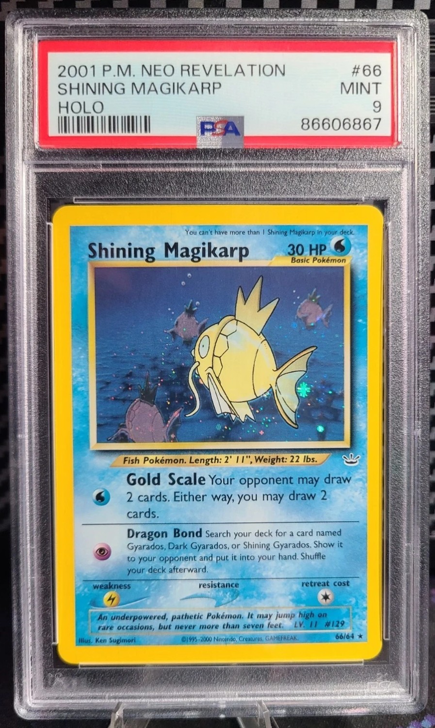 Shining Magikarp