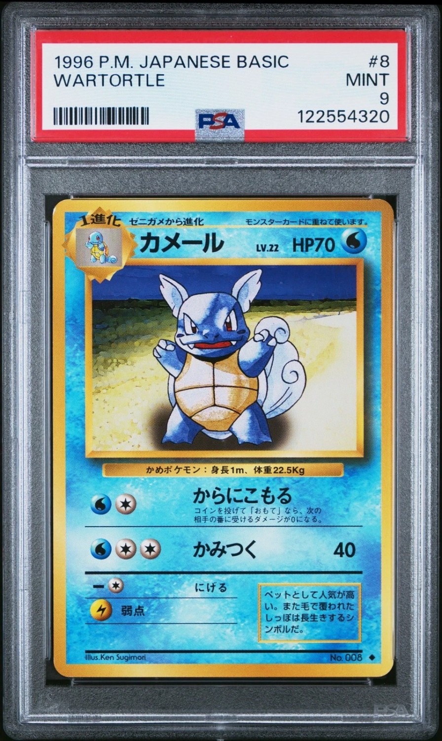 Wartortle