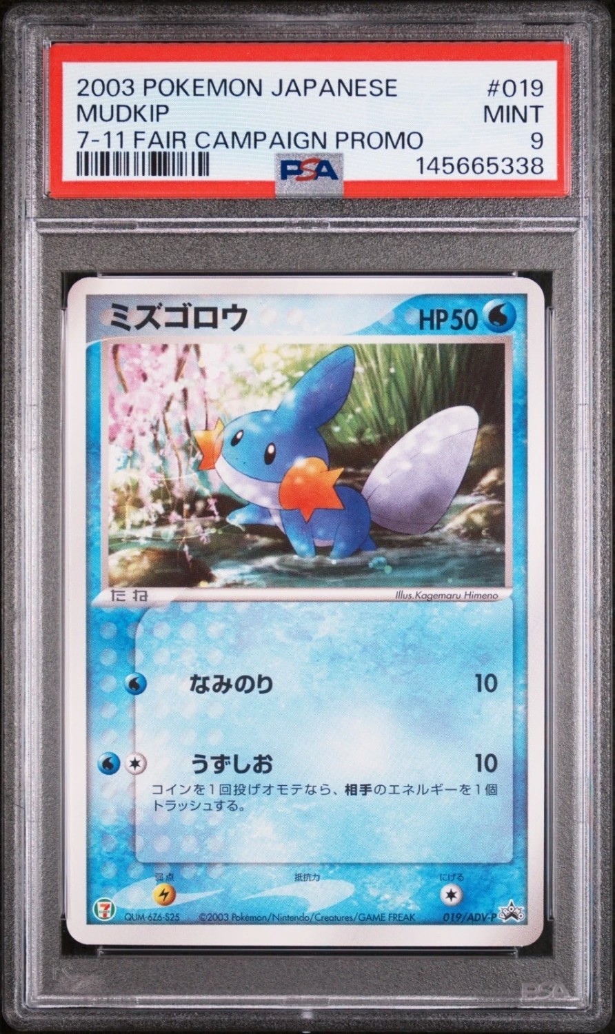 Mudkip