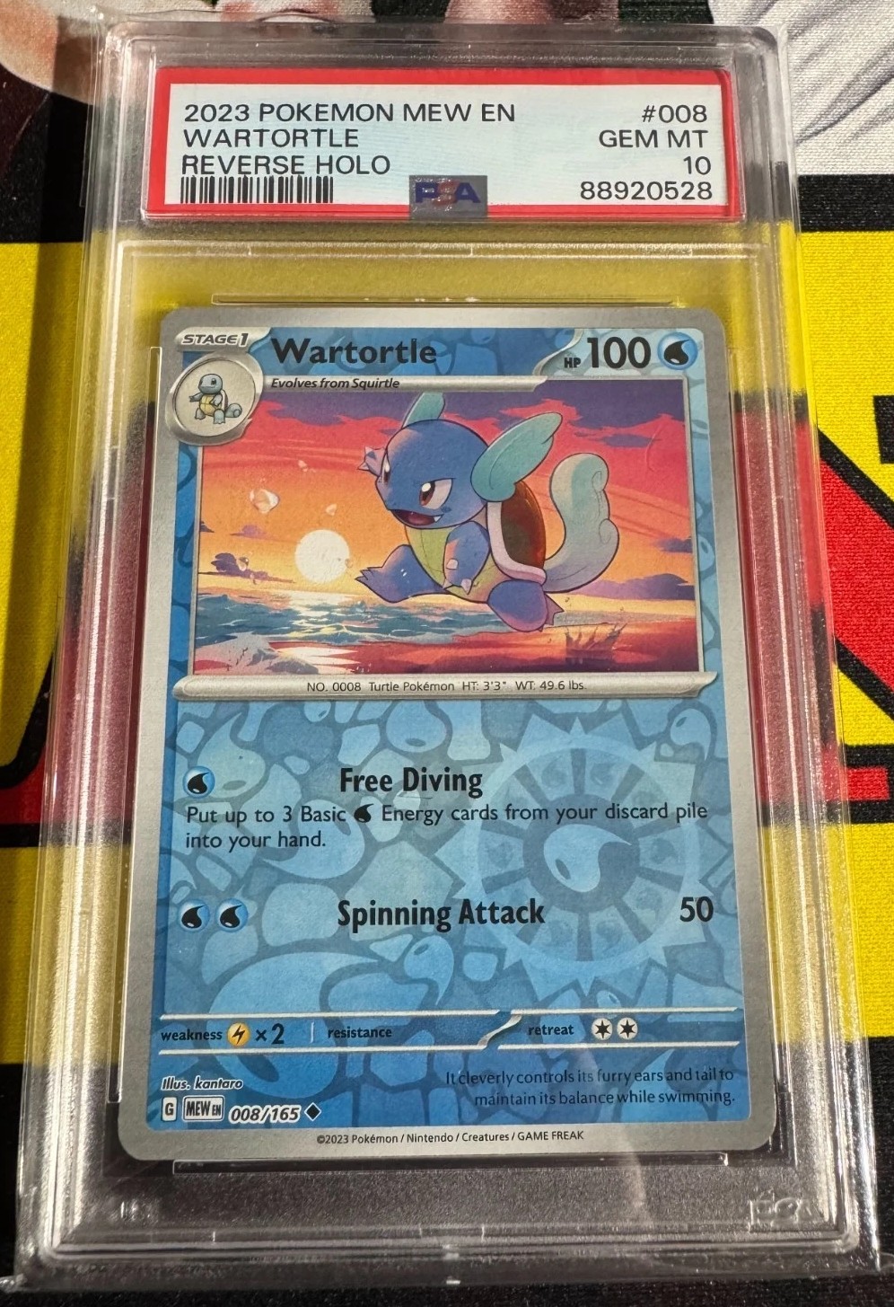 Wartortle