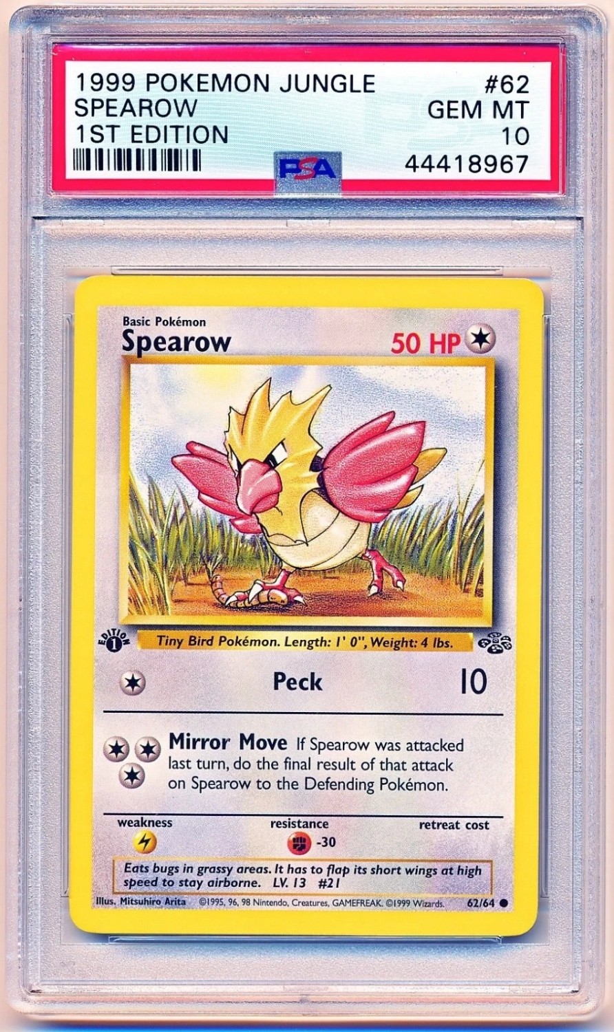 Spearow