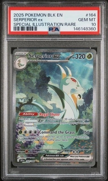 SERPERIOR ex