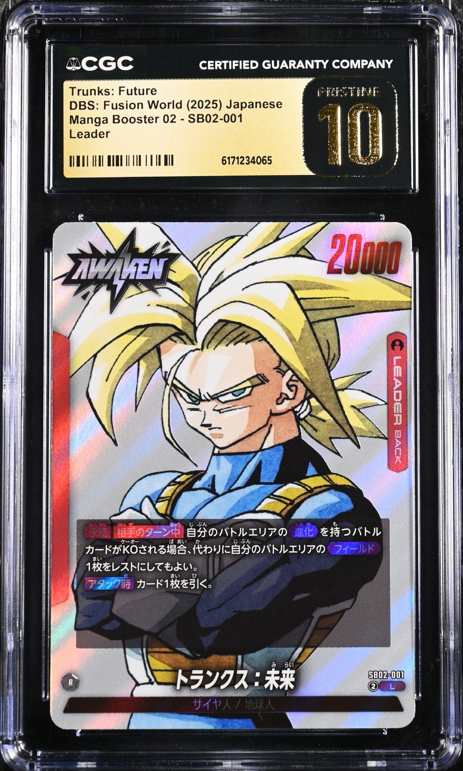 Trunks: Future