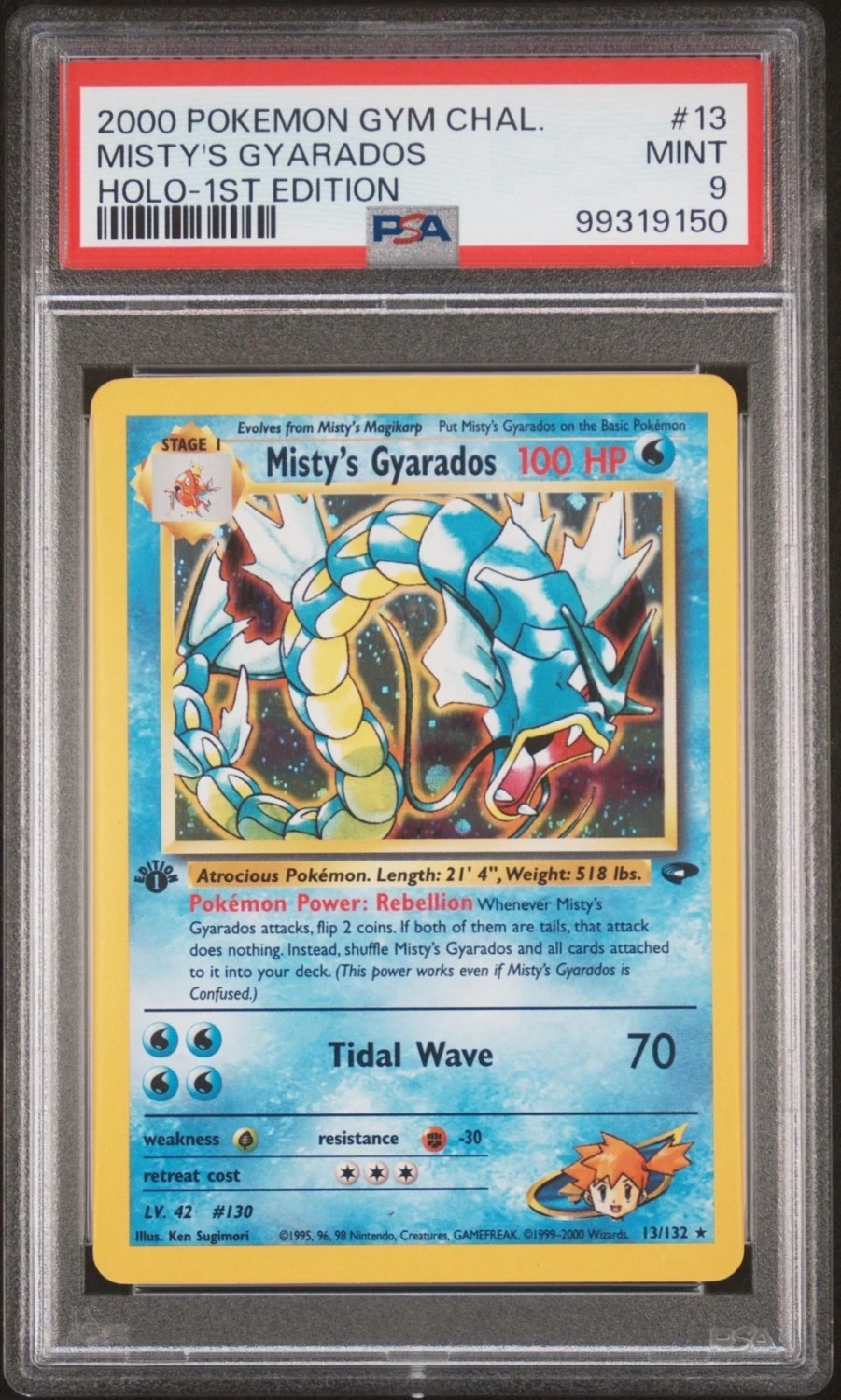 Misty's Gyarados